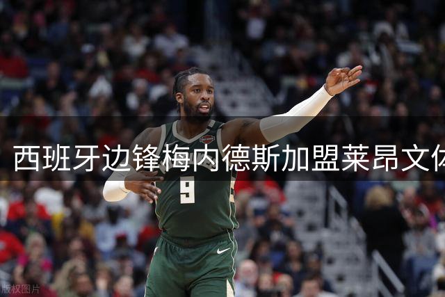 西班牙边锋梅内德斯加盟莱昂文体
